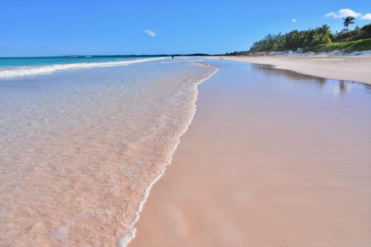 Conch Shell Harbour Island Home Dunmore Town Екстериор снимка